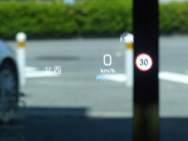 23654375_carP_l_8.jpg