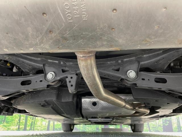 26534532_carP_l_18.jpg