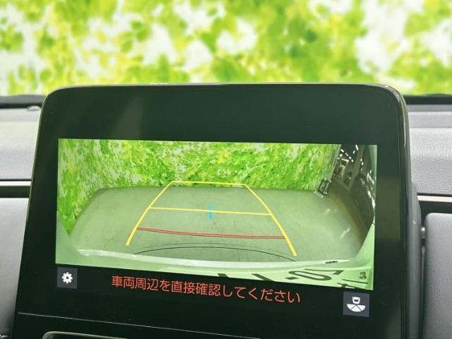 25184866_carP_l_8.jpg