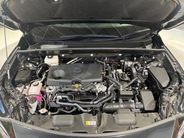 25734758_carP_l_18.jpg