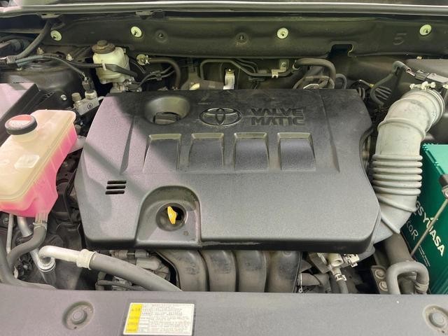 25199477_carP_l_16.jpg