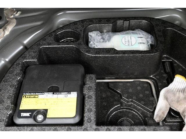 26340312_carP_l_16.jpg