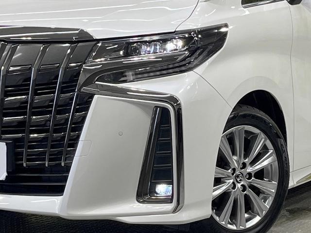 25199479_carP_l_7.jpg