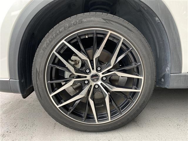 24722449_carP_l_9.jpg