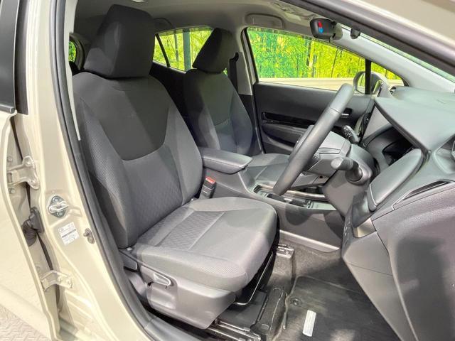 23675062_carP_l_17.jpg
