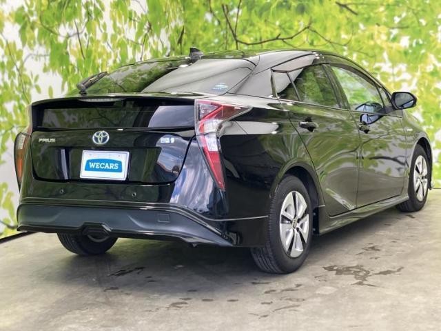 25501253_carP_l_15.jpg