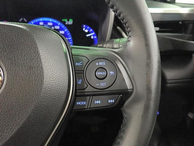 0203825A30260922W00307.jpg