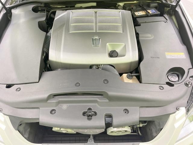 25591697_carP_l_16.jpg