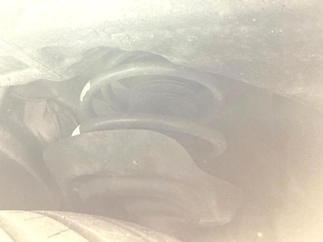 24995037_carP_l_20.jpg