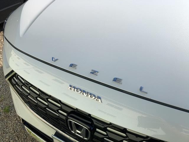 26106670_carP_l_19.jpg