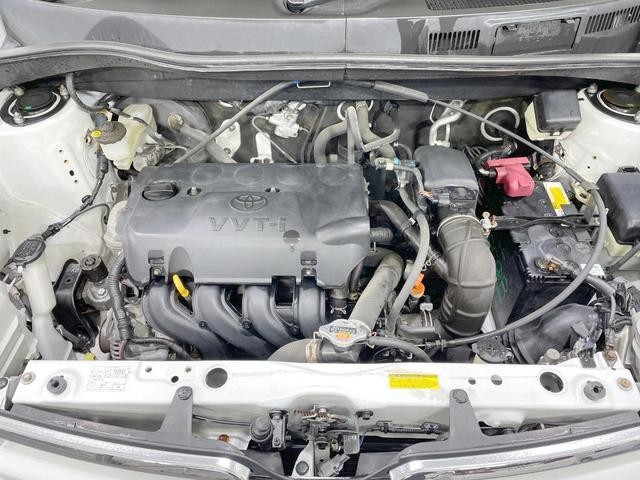 26861744_carP_l_20.jpg