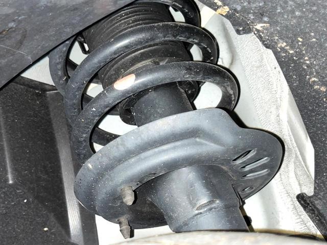 25486579_carP_l_20.jpg