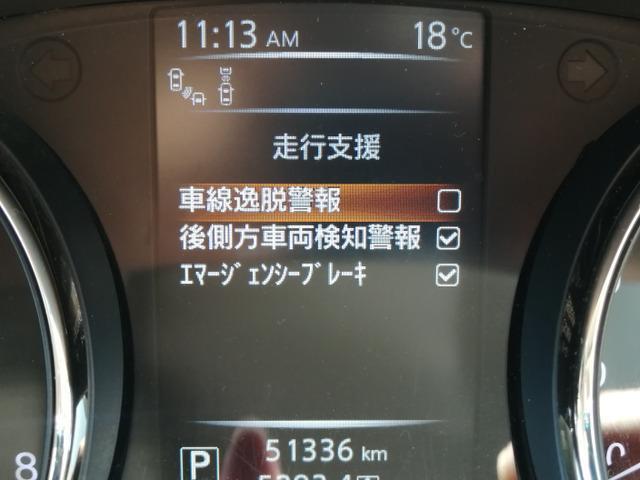 23310197_carP_l_17.jpg