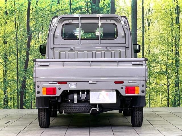 26209921_carP_l_7.jpg