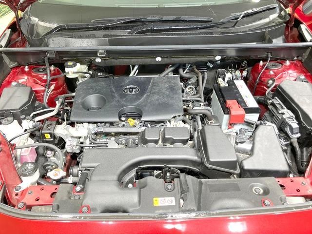 26357319_carP_l_16.jpg