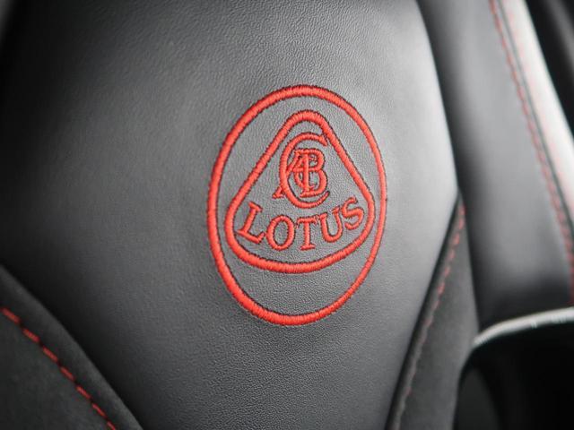 25015364_carP_l_20.jpg