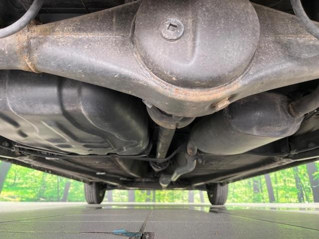 25591719_carP_l_16.jpg