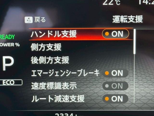 24670760_carP_l_8.jpg