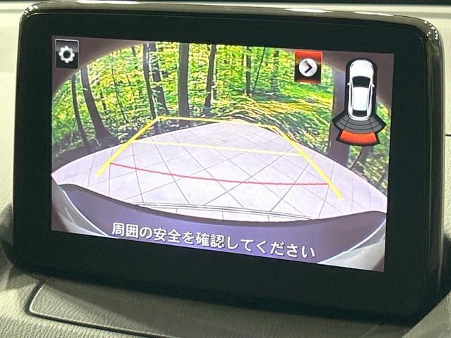 25036147_carP_l_4.jpg