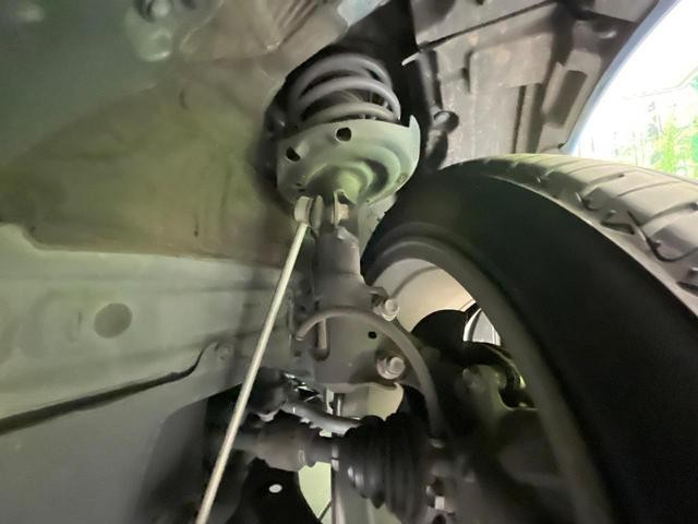 25904300_carP_l_20.jpg