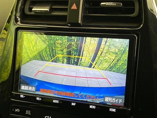 25904300_carP_l_4.jpg