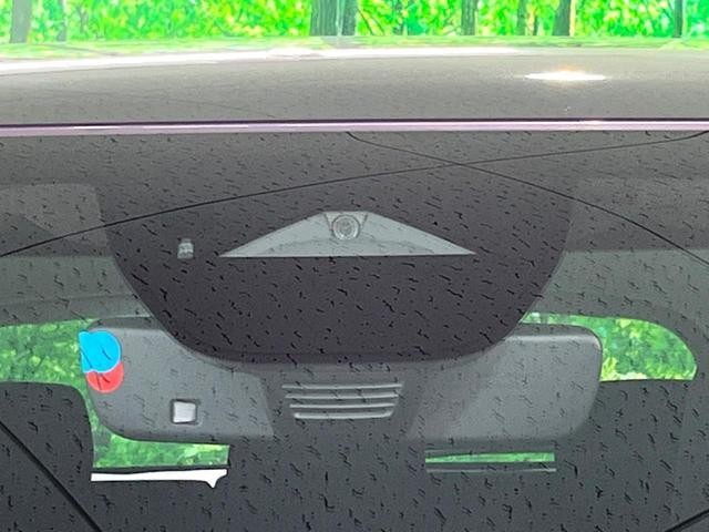25904328_carP_l_19.jpg