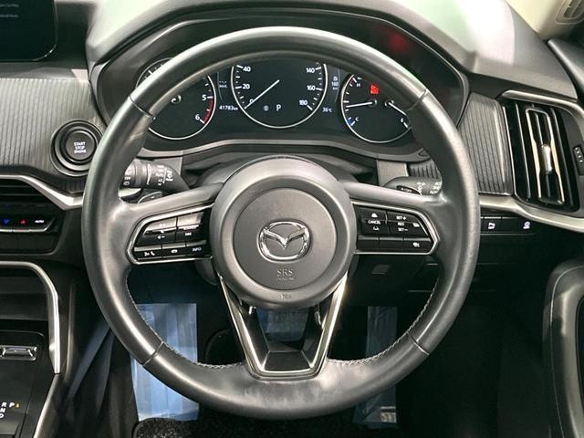 25904328_carP_l_7.jpg