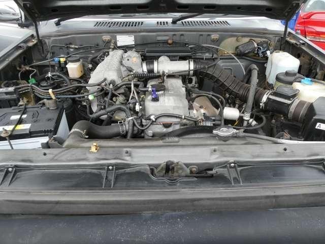 25546160_carP_l_6.jpg