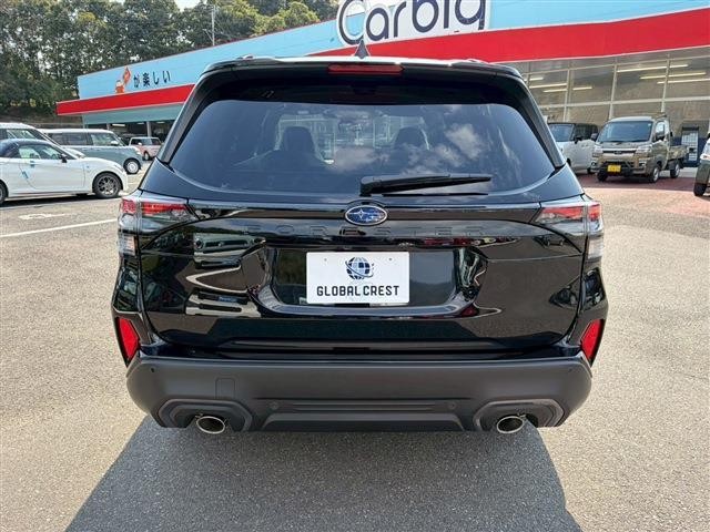 22765036_carP_l_14.jpg