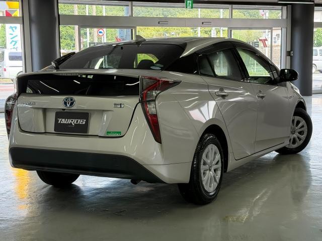 26230881_carP_l_8.jpg