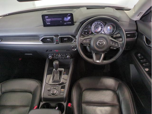 24218659_carP_l_15.jpg