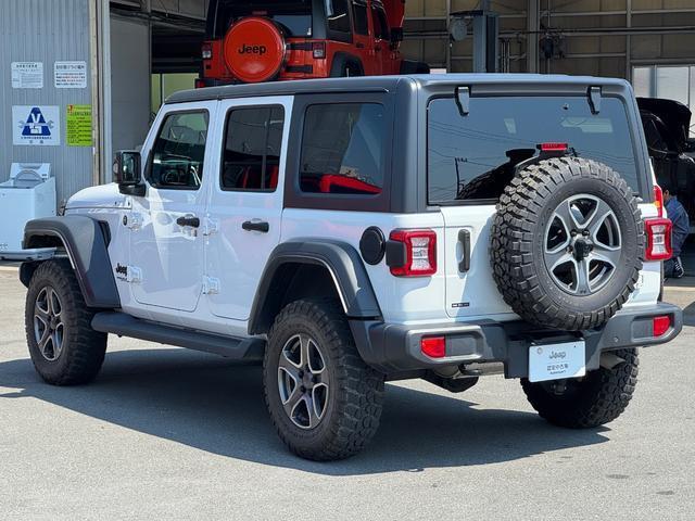 24134602_carP_l_10.jpg