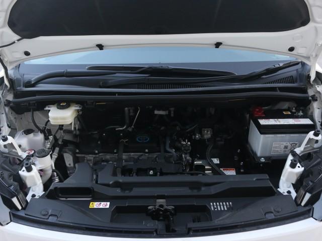 24224634_carP_l_17.jpg