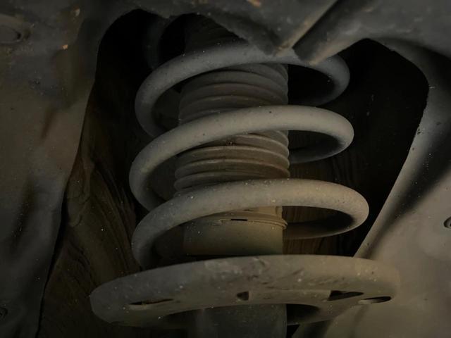 23340049_carP_l_20.jpg