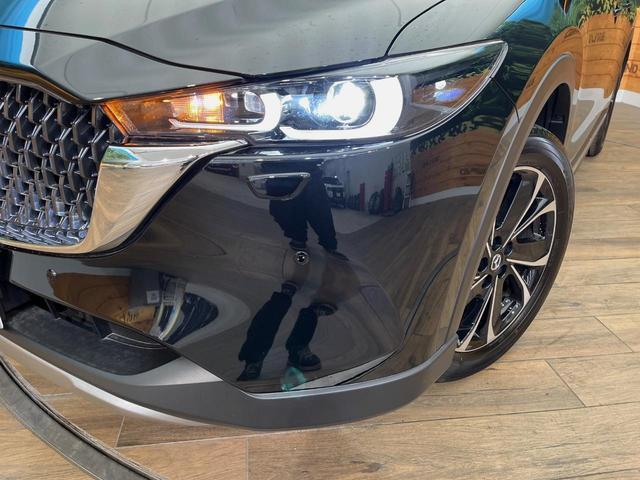 23340060_carP_l_7.jpg