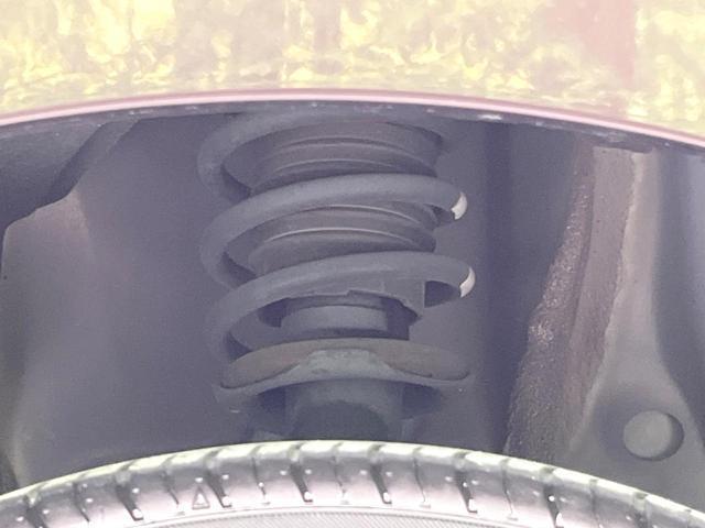 24340445_carP_l_20.jpg