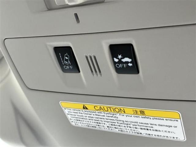 24441681_carP_l_7.jpg