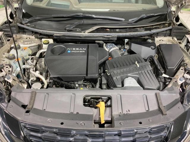 25904346_carP_l_16.jpg