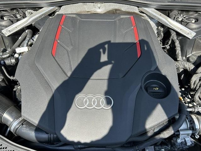 27132212_carP_l_12.jpg