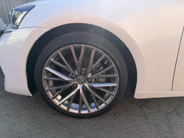 25695049_carP_l_20.jpg