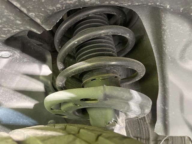 24500949_carP_l_20.jpg