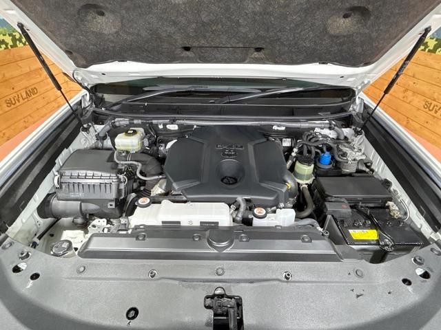 26534582_carP_l_20.jpg