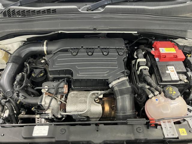 24829213_carP_l_17.jpg
