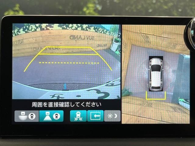 26293000_carP_l_15.jpg
