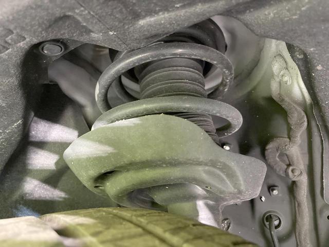 24500951_carP_l_20.jpg