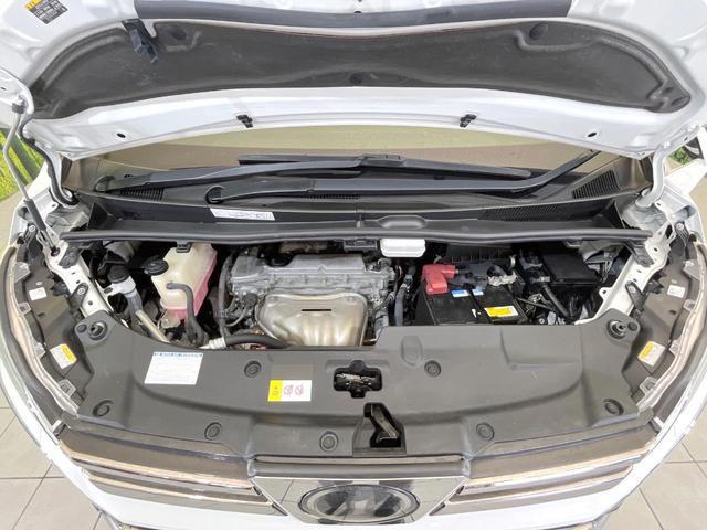 23358810_carP_l_16.jpg