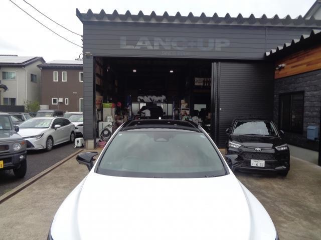 26231176_carP_l_15.jpg