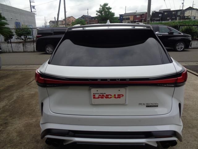 26231176_carP_l_2.jpg