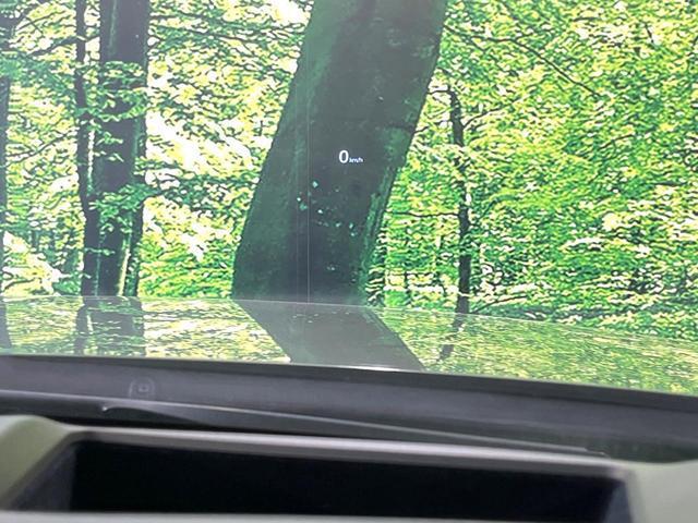 23358941_carP_l_17.jpg
