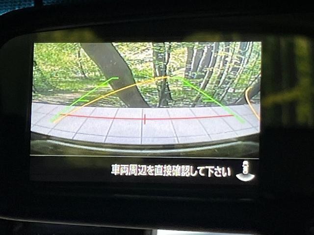 26838232_carP_l_13.jpg